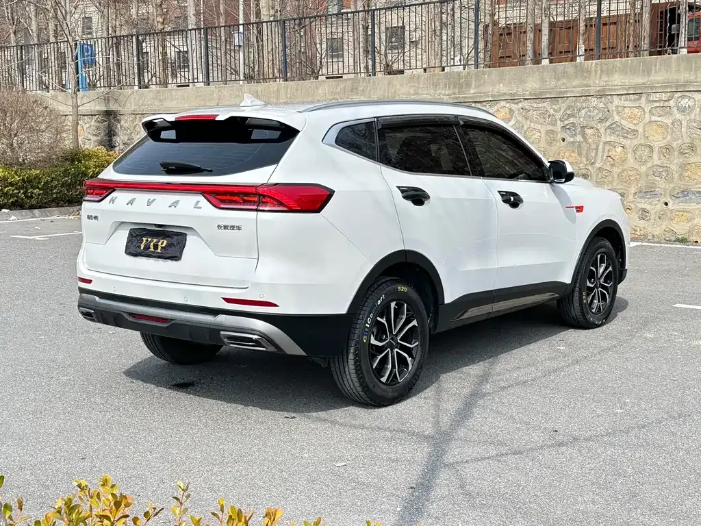 Haval H6 2021 из CN, фото 5