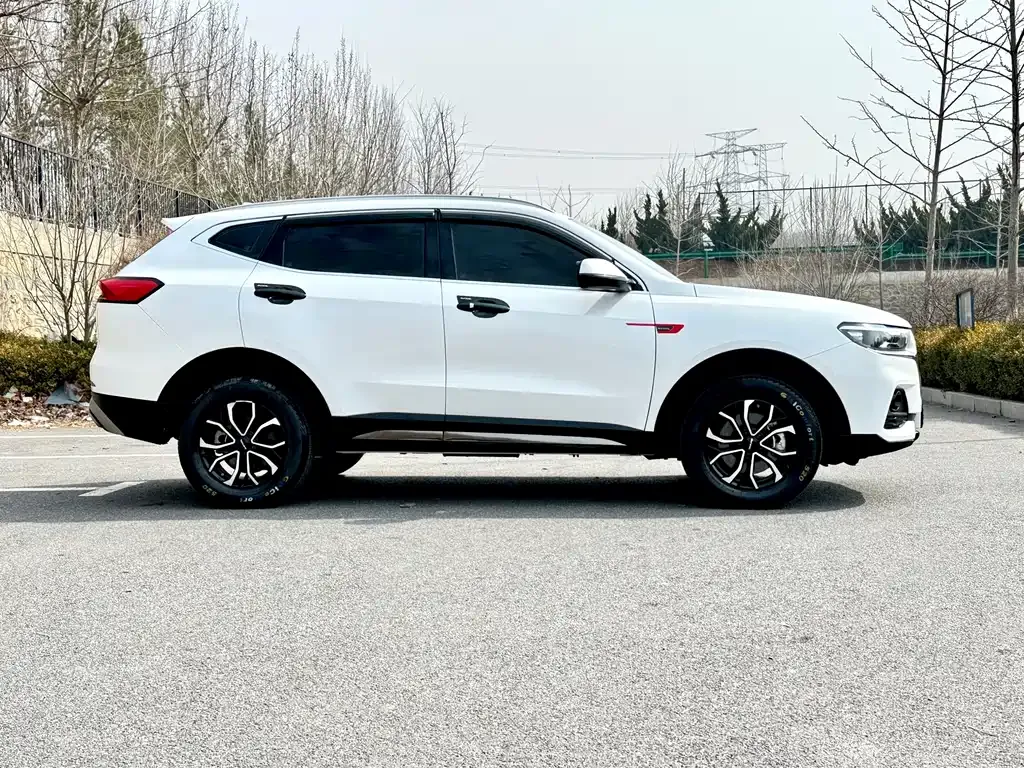 Haval H6 2021 из CN, фото 4