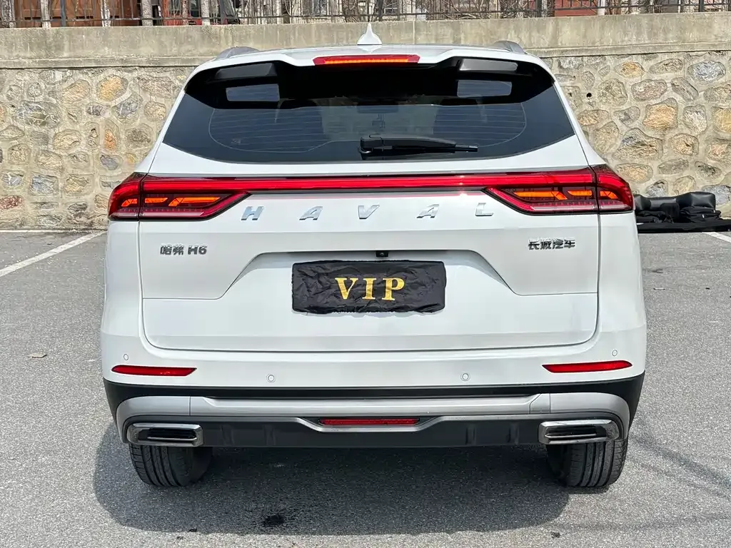 Haval H6 2021 из CN, фото 9