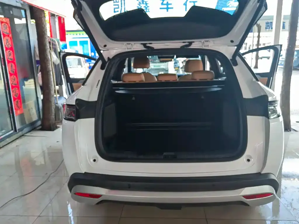 BYD L DM-i 2024 из CN, фото 4