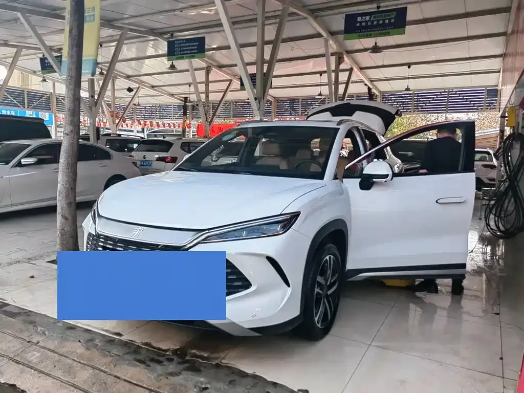 BYD L DM-i 2024 из CN, фото 6
