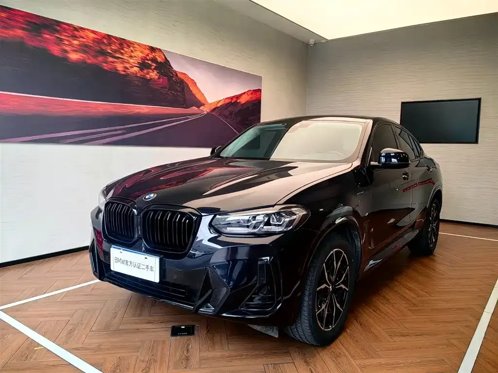 BMW X4 — фото 1