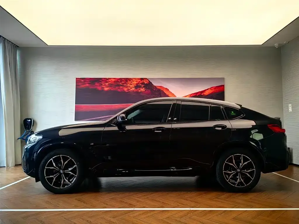 BMW X4 — фото 10