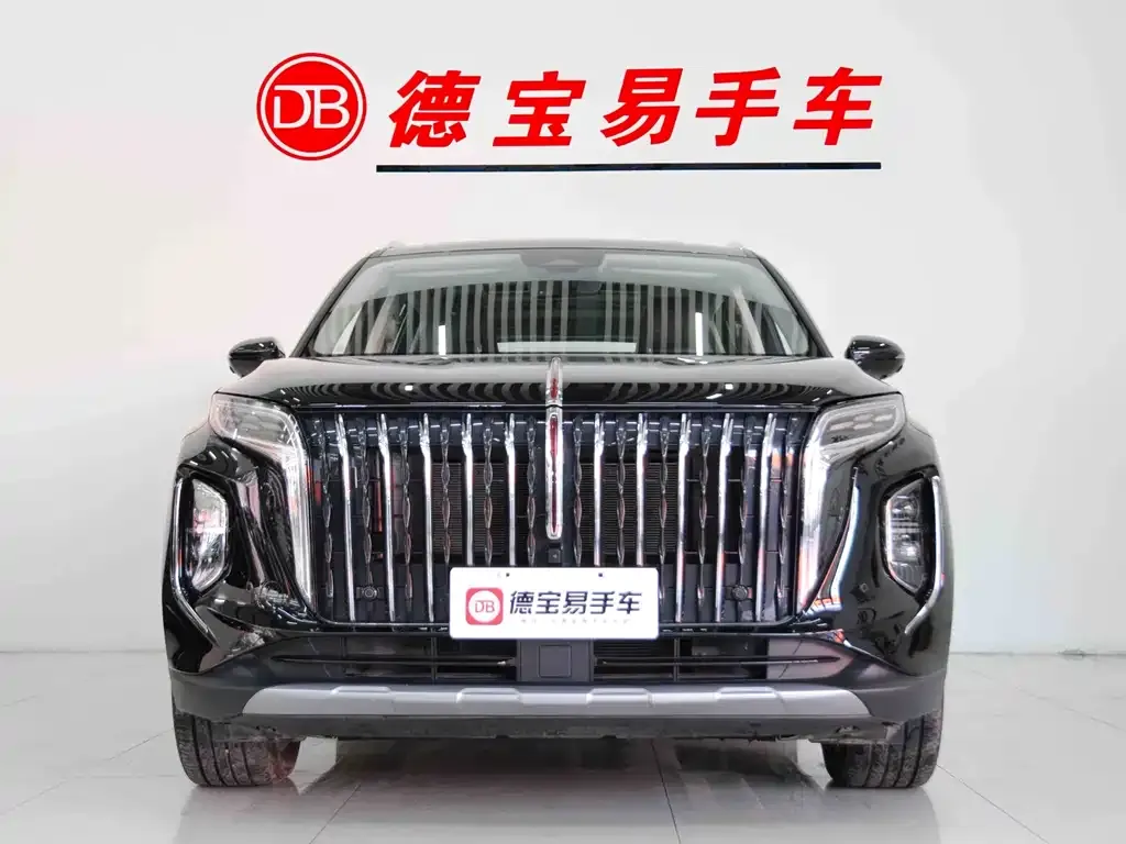 Hongqi HS7 PHEV 2024 из CN, фото 2