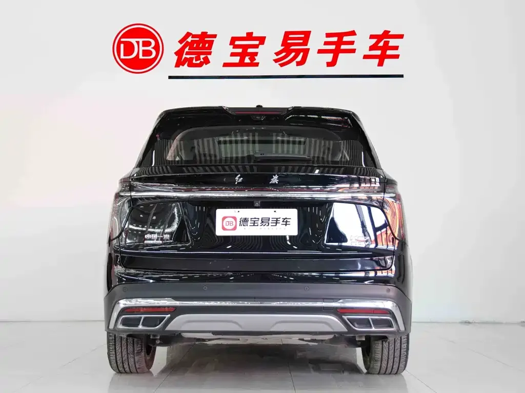 Hongqi HS7 PHEV 2024 из CN, фото 4