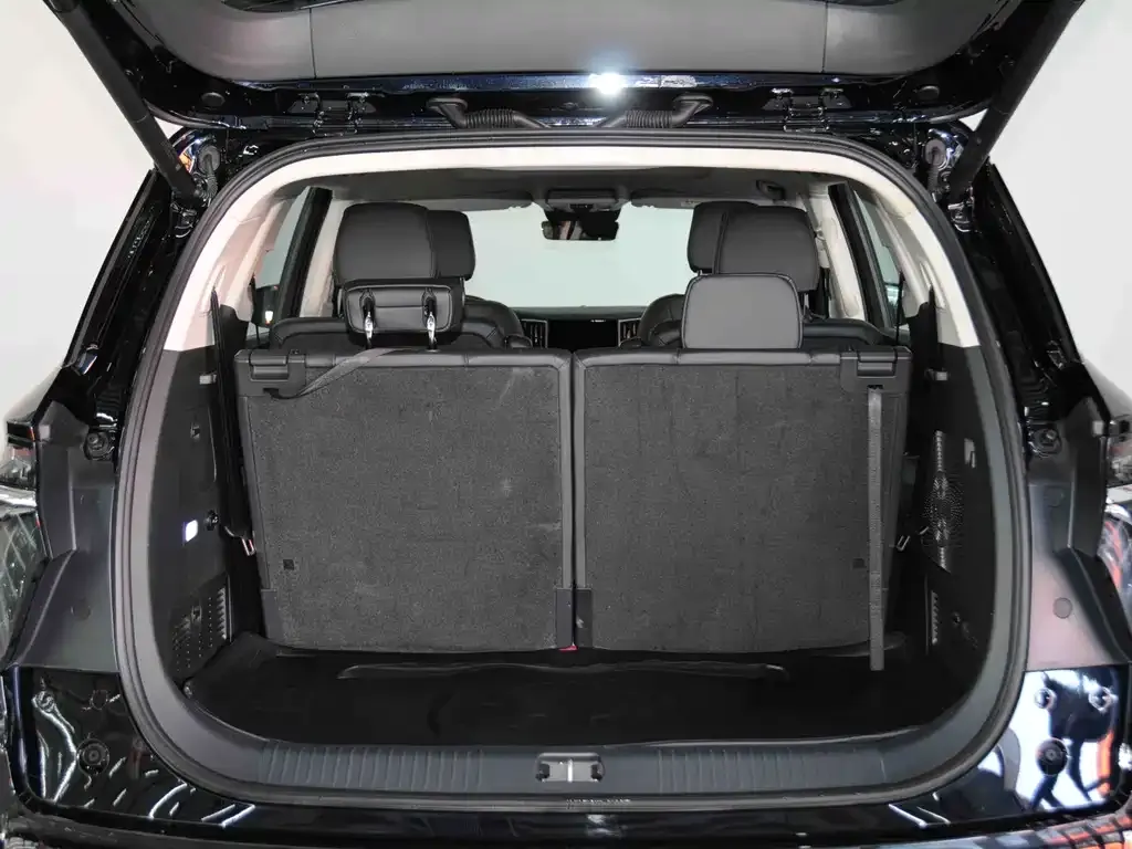 Hongqi HS7 PHEV 2024 из CN, фото 7