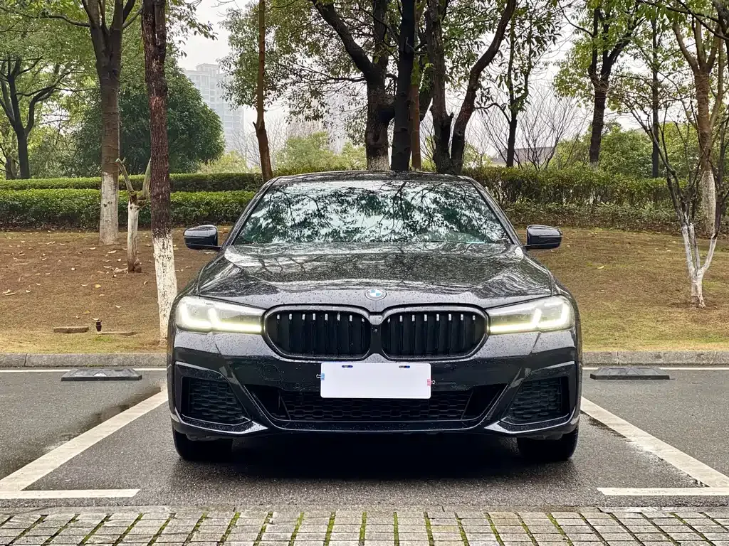 BMW 5 Series 2022 из CN, фото 1