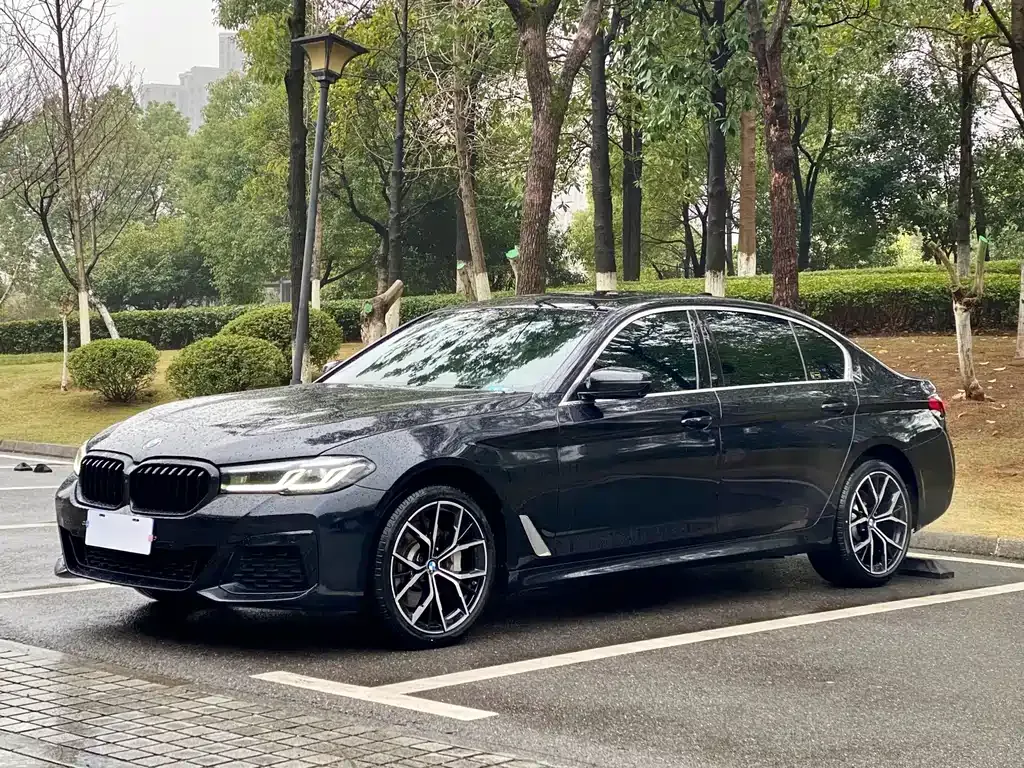 BMW 5 Series 2022 из CN, фото 7