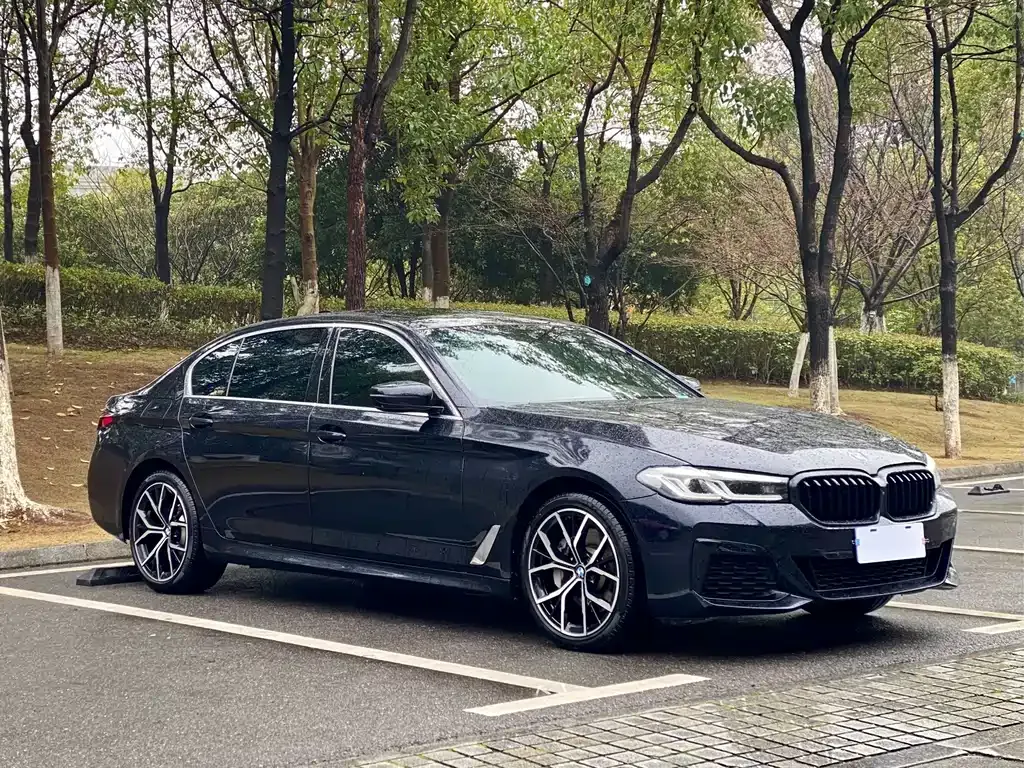 BMW 5 Series 2022 из CN, фото 9