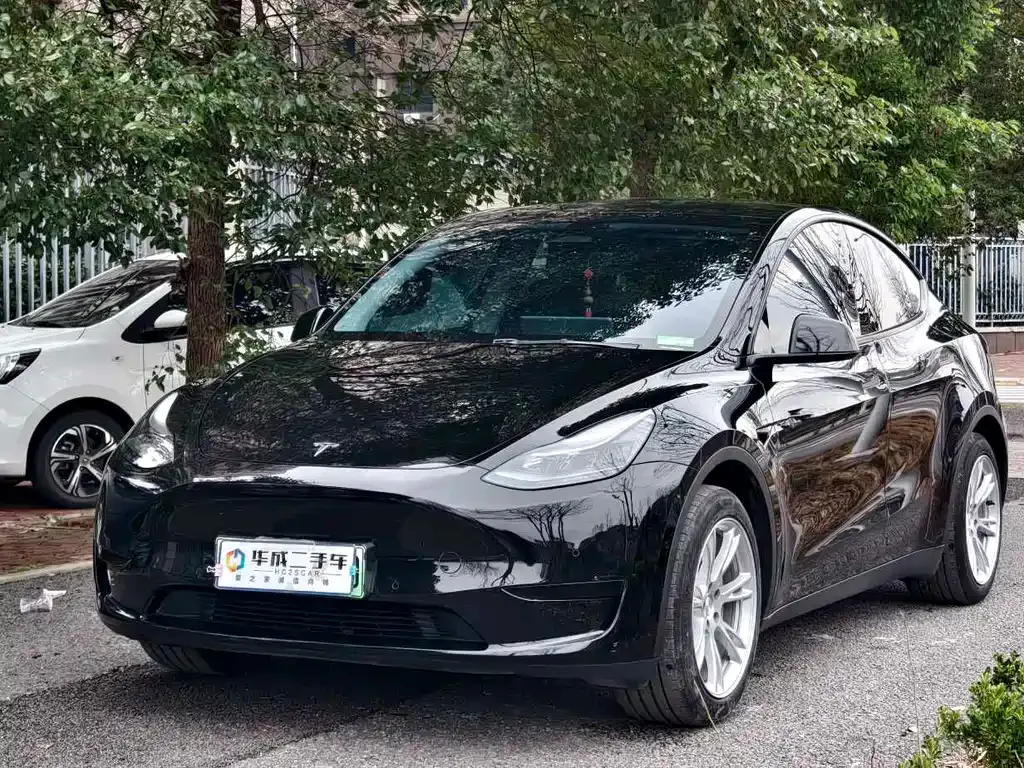 Tesla Model Y — фото 1