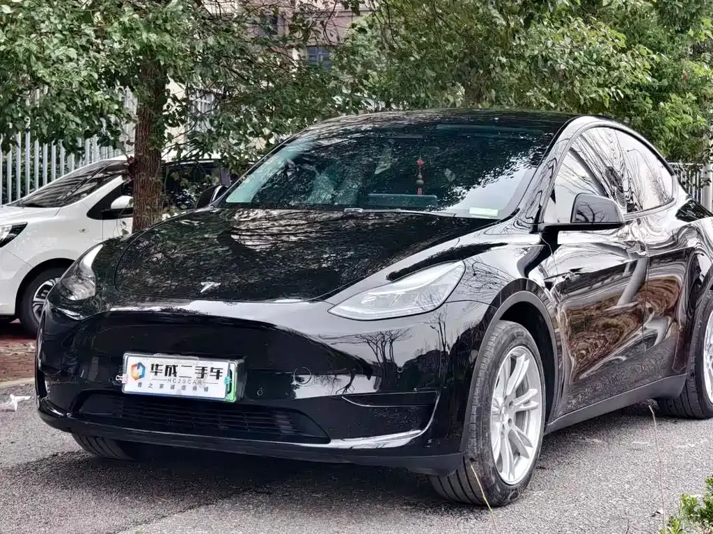Tesla Model Y — фото 2