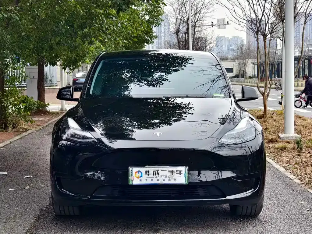 Tesla Model Y — фото 6