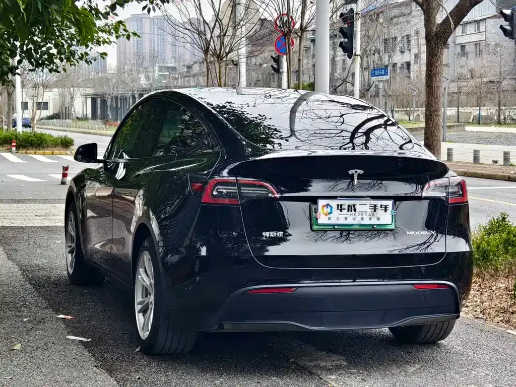 Tesla Model Y — фото 3