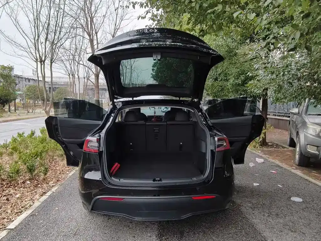 Tesla Model Y — фото 7