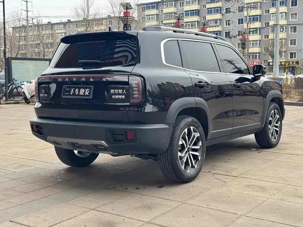 Haval Big Dog 2024 из CN, фото 9