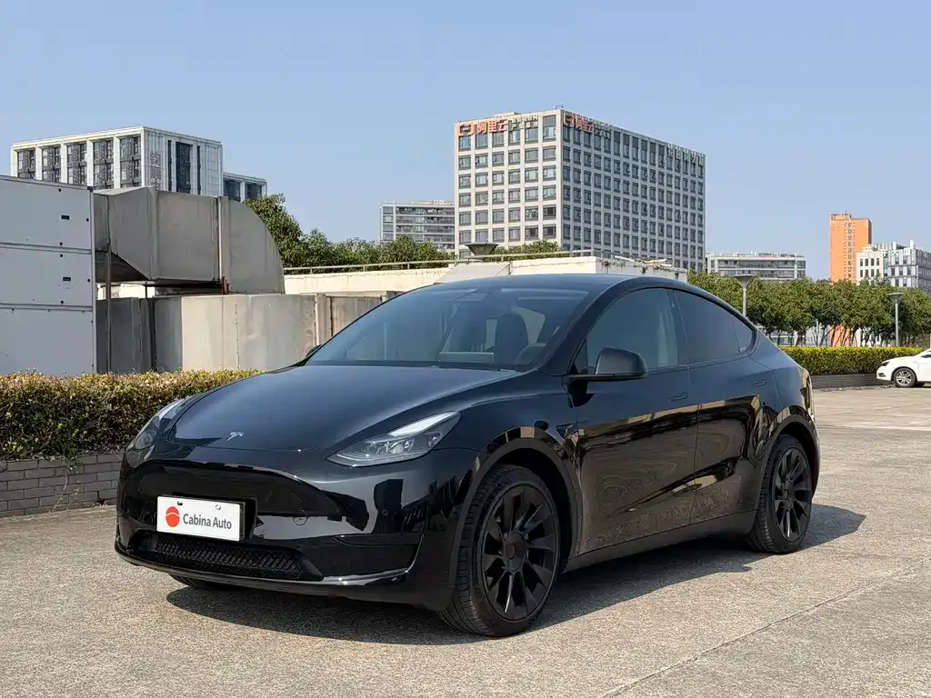 Tesla Model Y — фото 1