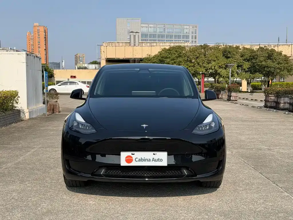 Tesla Model Y — фото 8