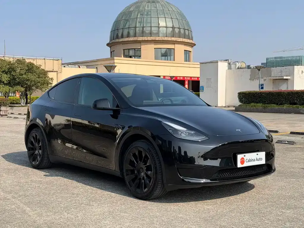 Tesla Model Y — фото 9
