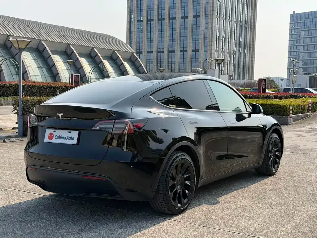 Tesla Model Y — фото 10