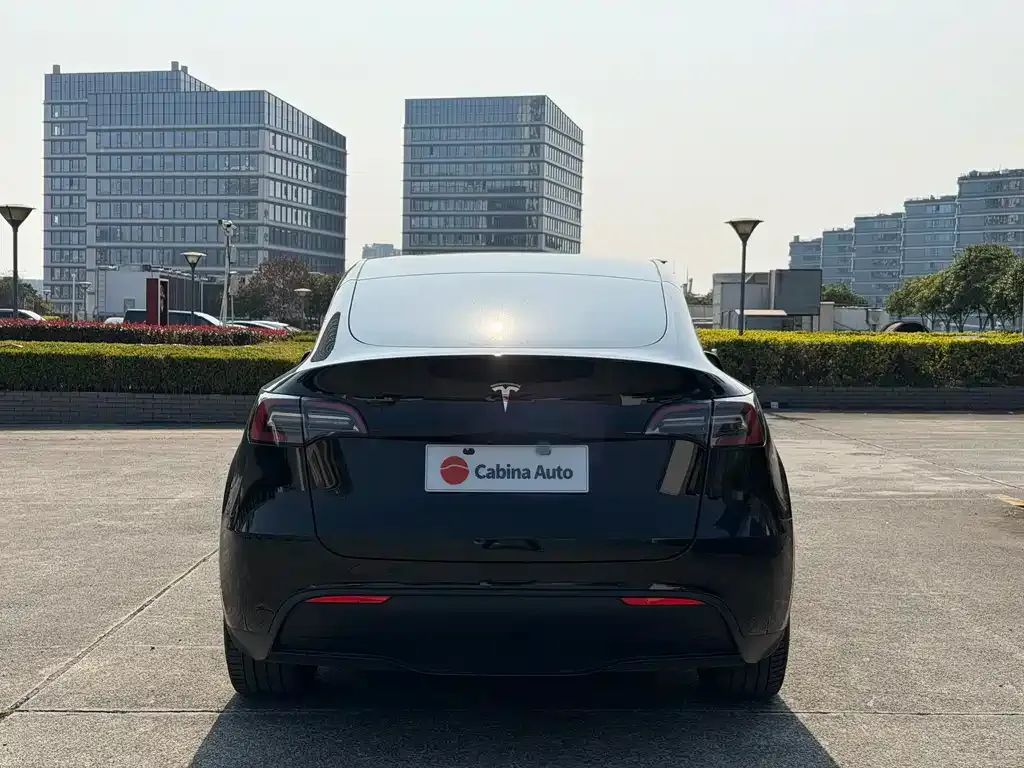 Tesla Model Y — фото 6