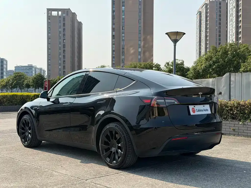 Tesla Model Y — фото 5