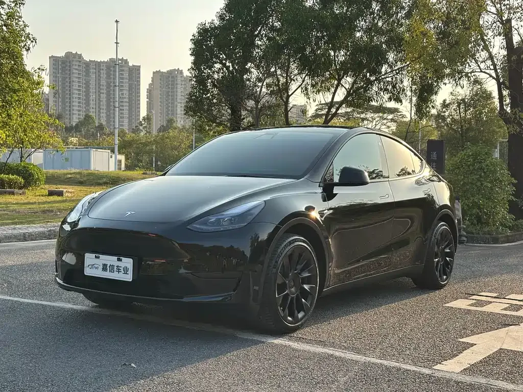 Tesla Model Y — фото 1