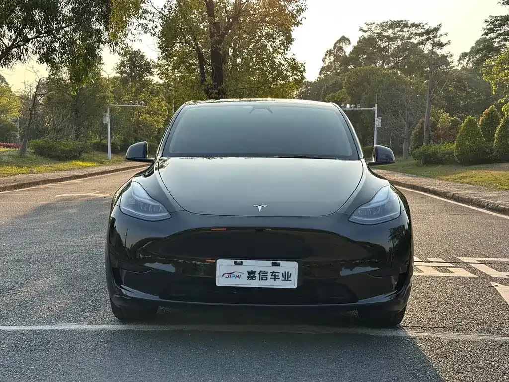 Tesla Model Y — фото 2