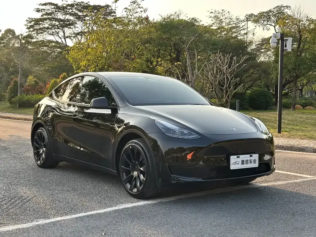 Tesla Model Y — фото 8