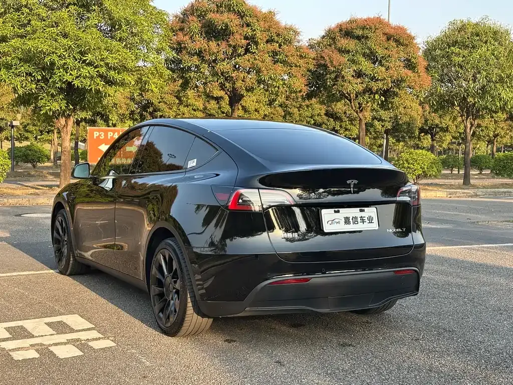 Tesla Model Y — фото 6