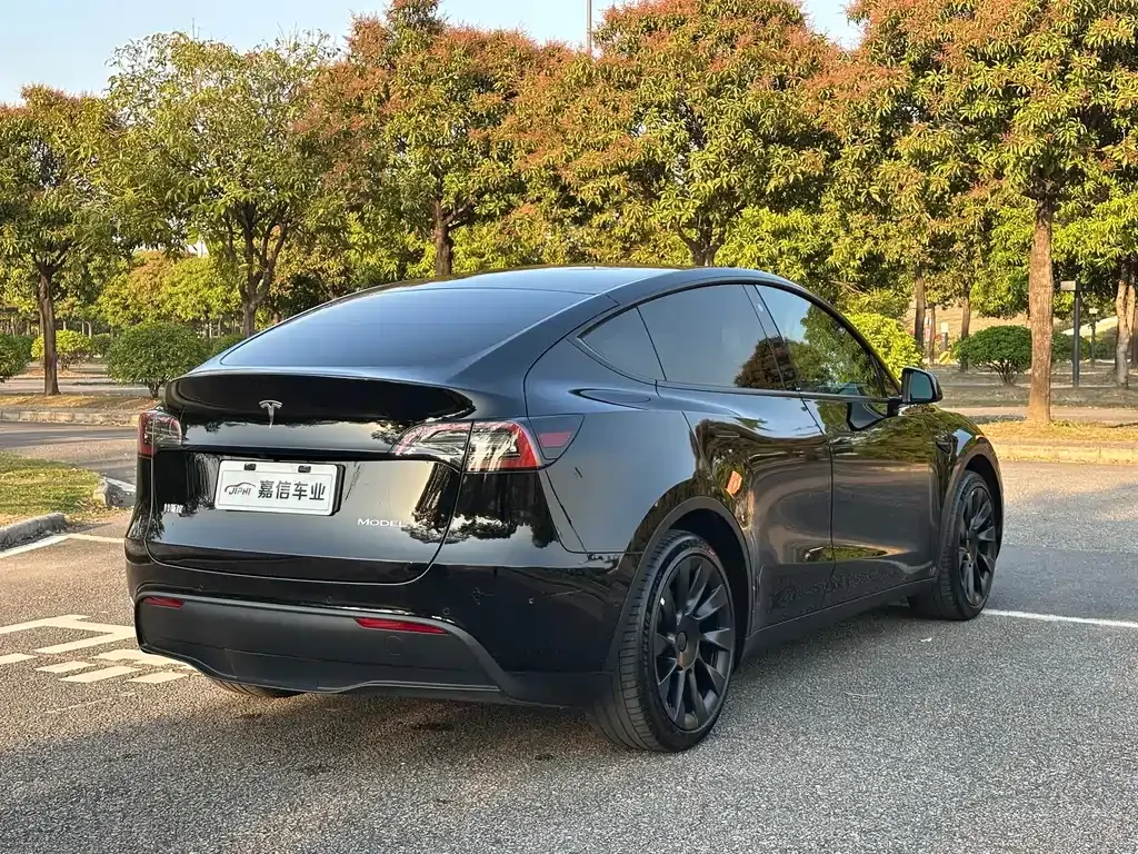 Tesla Model Y — фото 7
