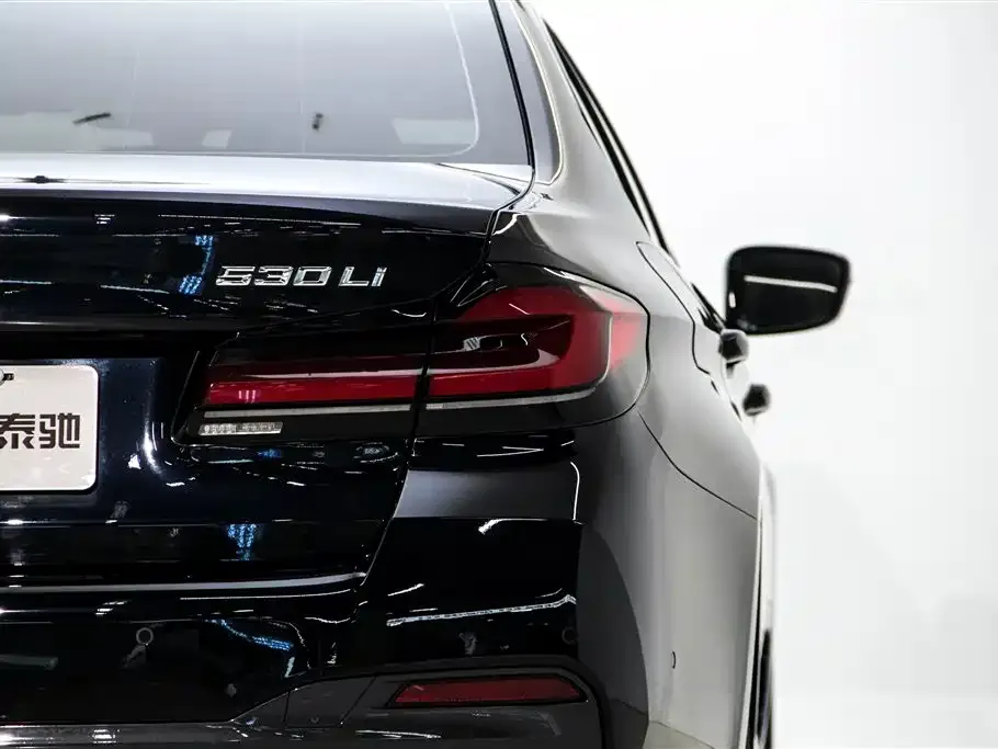 BMW 5 Series 2022 из CN, фото 8