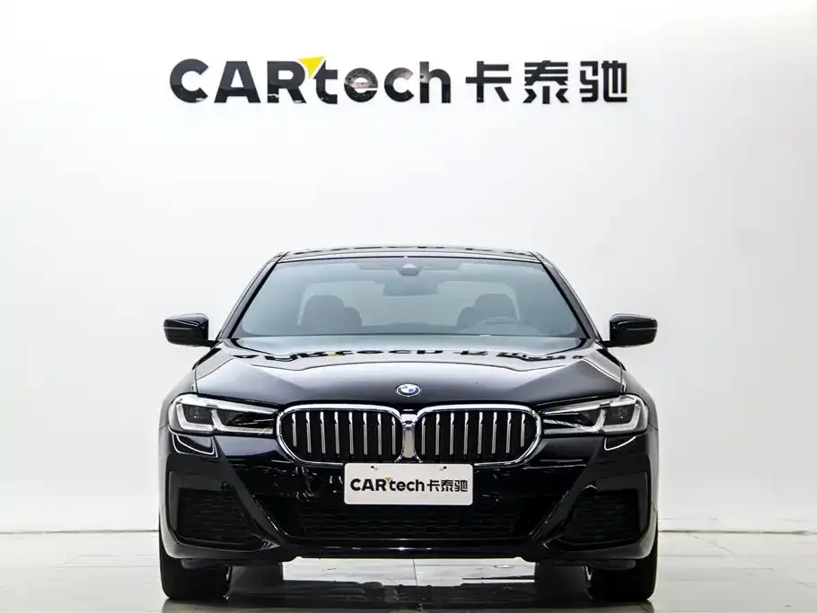 BMW 5 Series 2022 из CN, фото 6