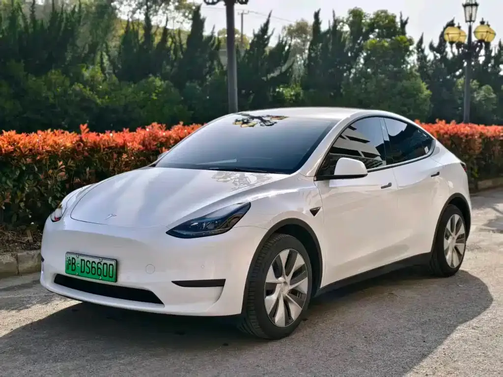 Tesla Model Y — фото 1