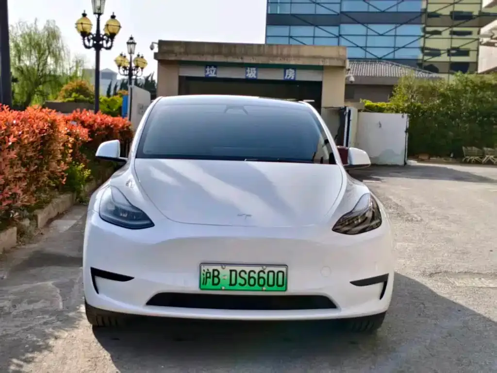 Tesla Model Y — фото 2