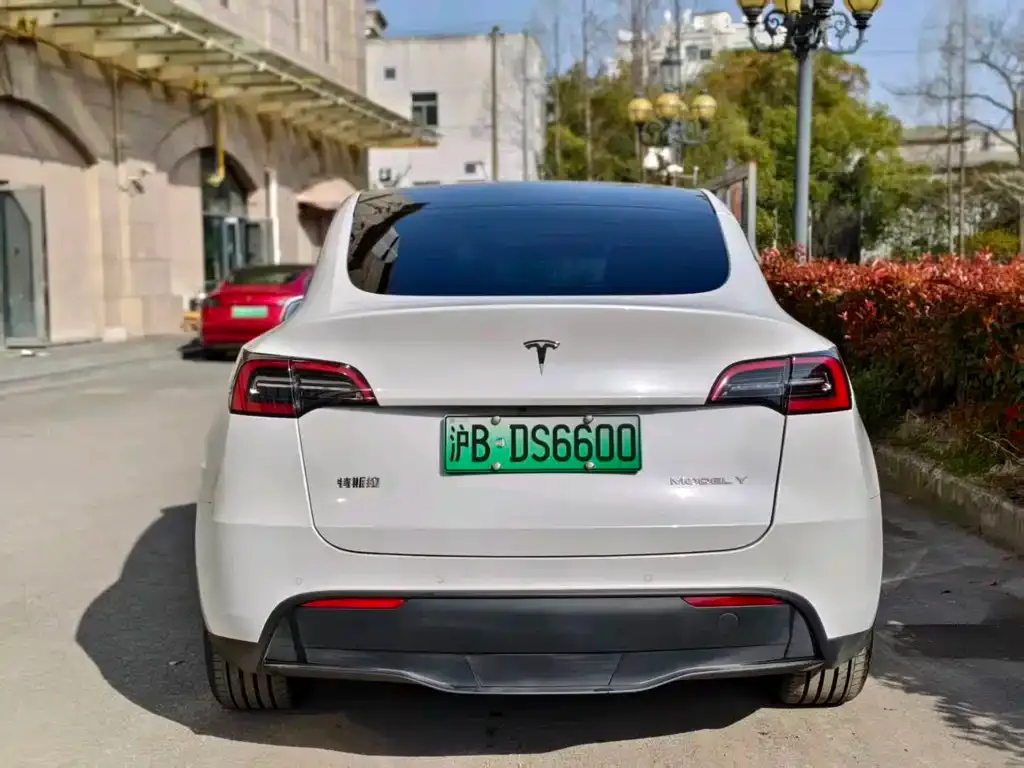Tesla Model Y — фото 8