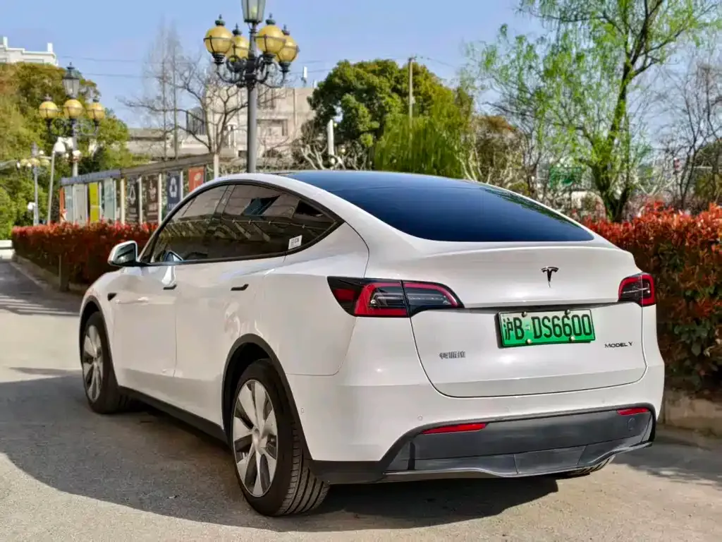 Tesla Model Y — фото 7