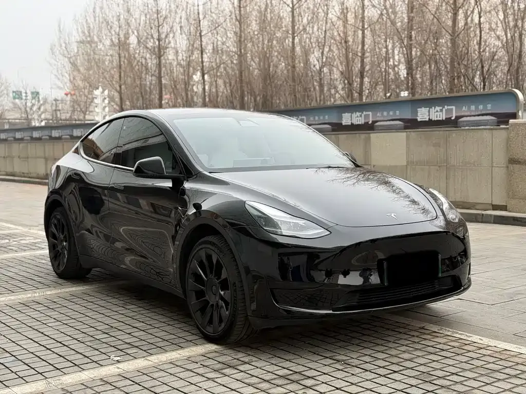 Tesla Model Y — фото 1