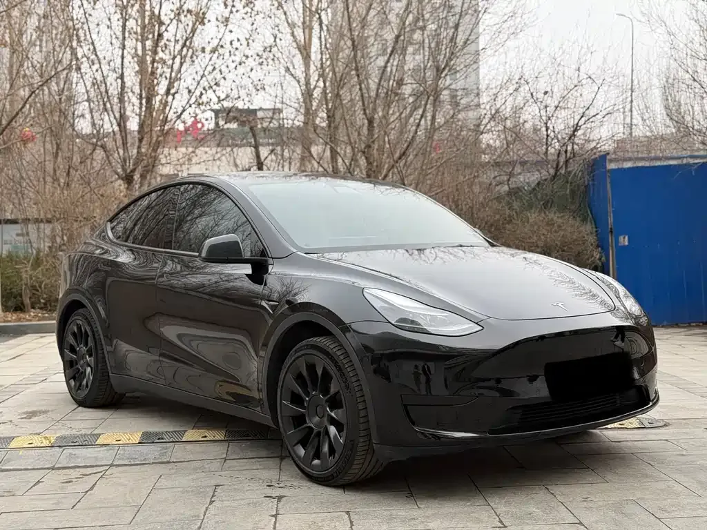 Tesla Model Y — фото 9