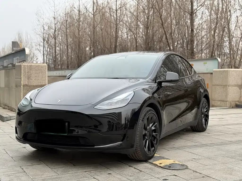 Tesla Model Y — фото 10