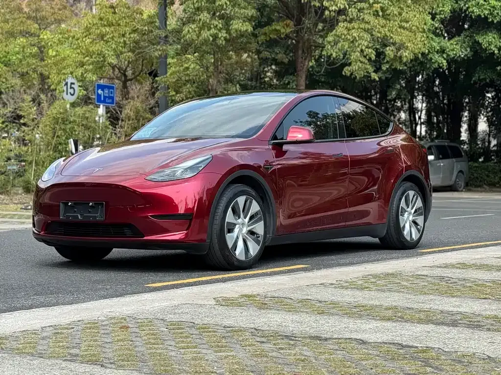 Tesla Model Y — фото 1