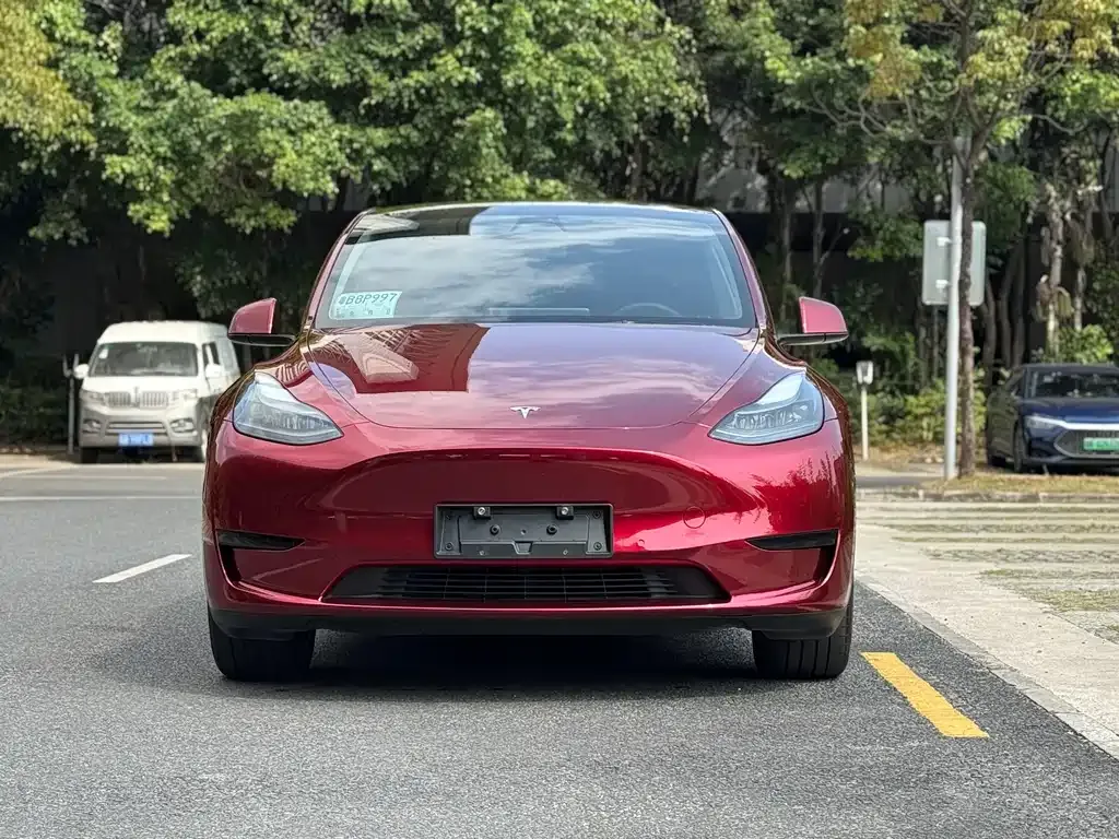 Tesla Model Y — фото 9
