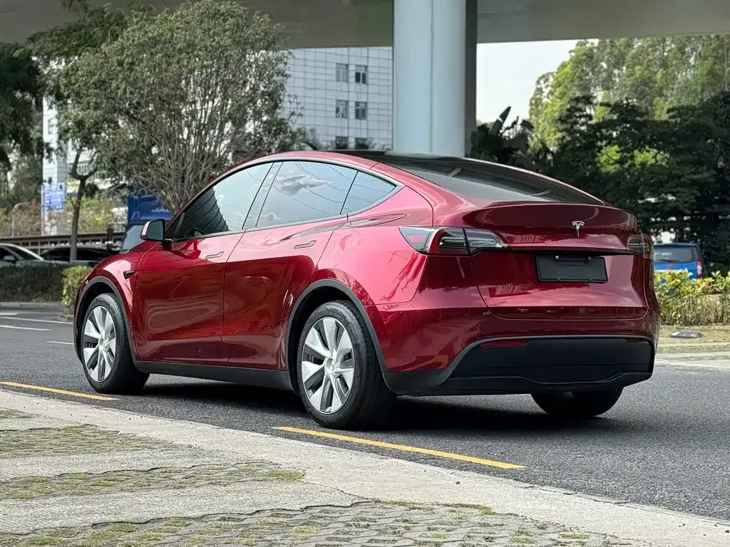 Tesla Model Y — фото 10