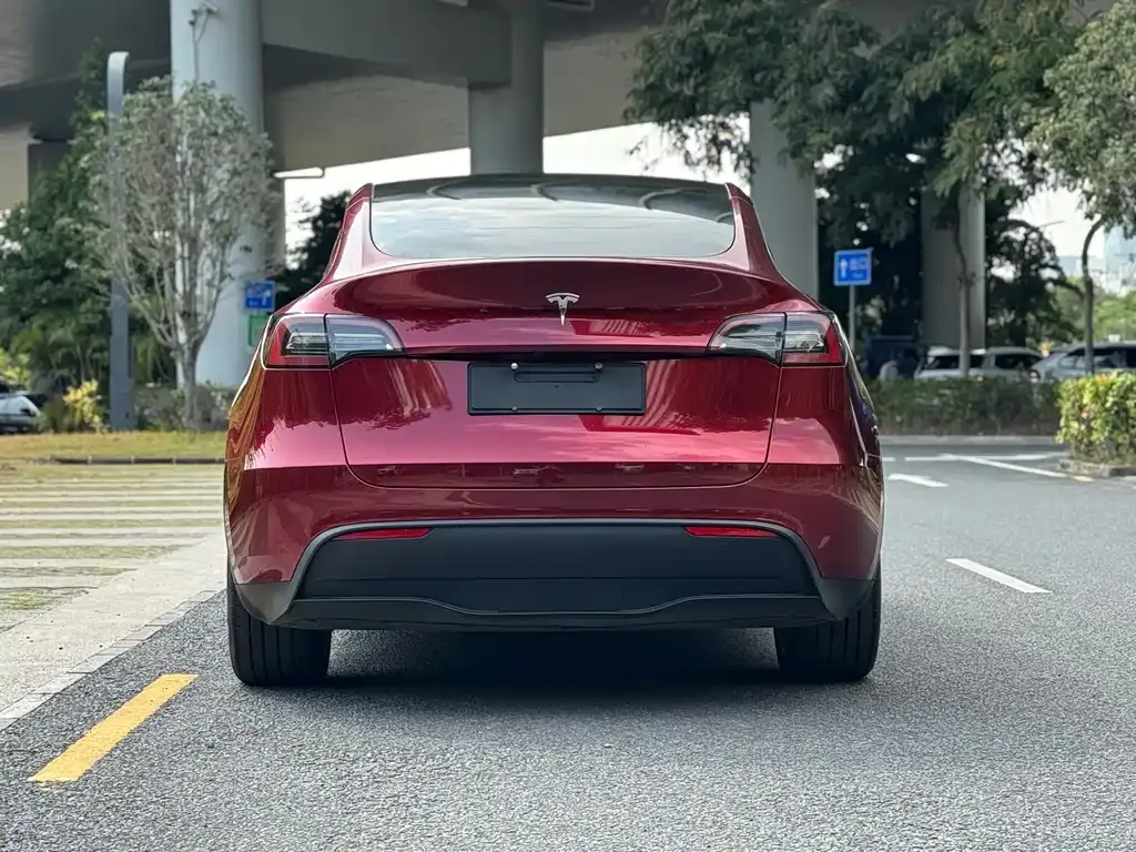 Tesla Model Y — фото 8