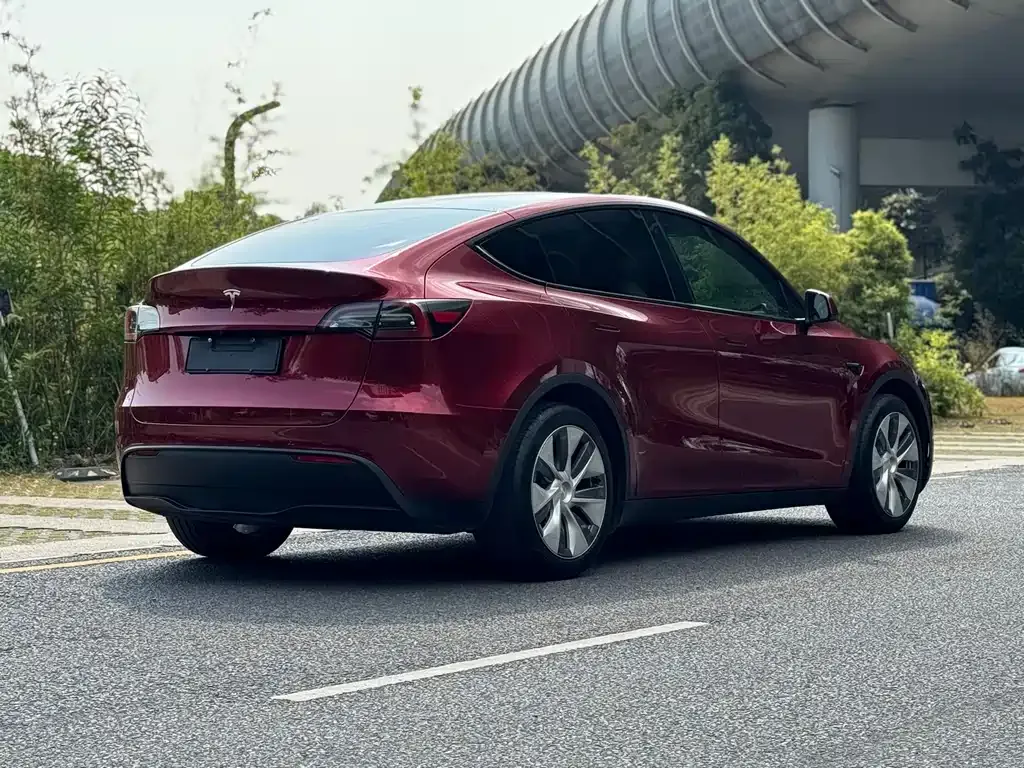 Tesla Model Y — фото 3
