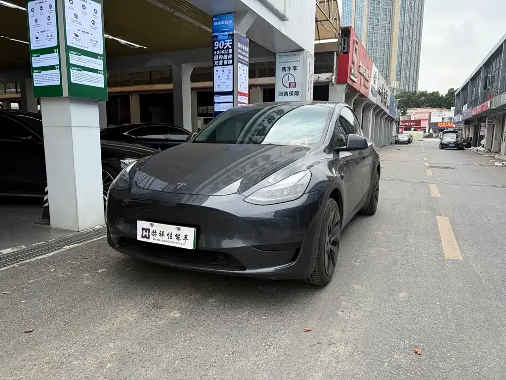 Tesla Model Y — фото 1