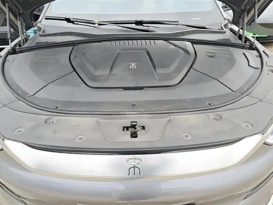 BYD PLUS New Energy 2023 из CN, фото 5