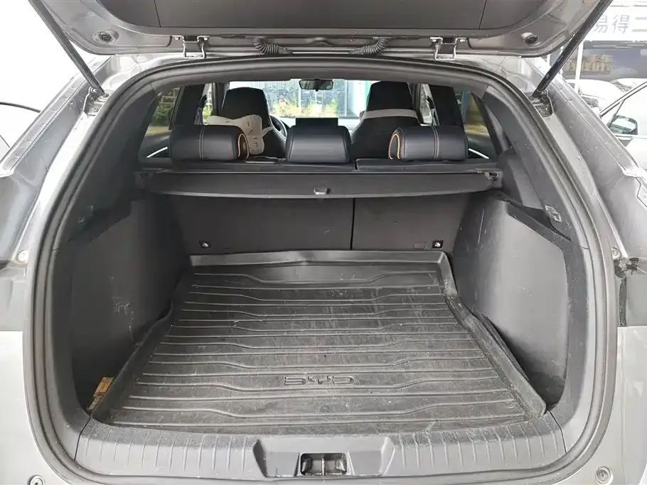 BYD PLUS New Energy 2023 из CN, фото 8