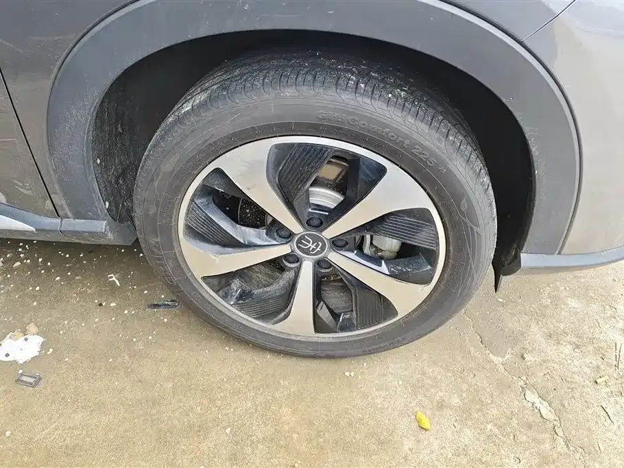 BYD PLUS New Energy 2023 из CN, фото 9