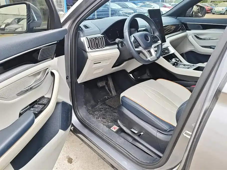 BYD PLUS New Energy 2023 из CN, фото 6