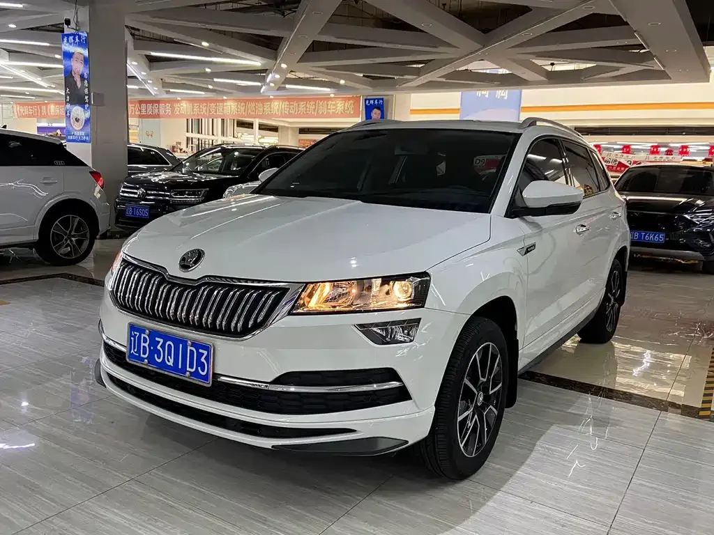 Skoda Karoq 2024 из CN, фото 1